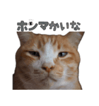 みんなのまいにち☻（個別スタンプ：39）