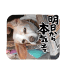 ギャルスタンプ完全版☆（個別スタンプ：28）