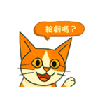 ニャンコの気持ちセット（個別スタンプ：11）
