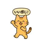 ごきげんトラ猫兄弟【ゆるリアクション】（個別スタンプ：31）