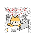 定額働かせ放題のシバ先生（個別スタンプ：10）