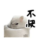 爆裂凶暴ハムスター（個別スタンプ：7）