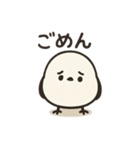 ぴっちょろ（個別スタンプ：5）