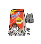 猫あるある（灰色猫／長毛）（個別スタンプ：1）
