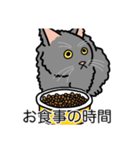 猫あるある（灰色猫／長毛）（個別スタンプ：3）