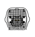 猫あるある（灰色猫／長毛）（個別スタンプ：8）