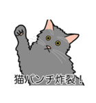 猫あるある（灰色猫／長毛）（個別スタンプ：17）