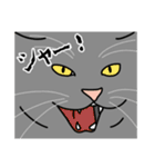 猫あるある（灰色猫／長毛）（個別スタンプ：18）
