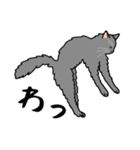 猫あるある（灰色猫／長毛）（個別スタンプ：21）