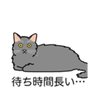 猫あるある（灰色猫／長毛）（個別スタンプ：22）