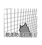 猫あるある（灰色猫／長毛）（個別スタンプ：27）
