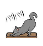 猫あるある（灰色猫／長毛）（個別スタンプ：28）