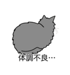 猫あるある（灰色猫／長毛）（個別スタンプ：31）