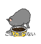 猫あるある（灰色猫／長毛）（個別スタンプ：32）