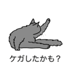 猫あるある（灰色猫／長毛）（個別スタンプ：34）