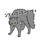猫あるある（灰色猫／長毛）（個別スタンプ：37）