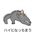 猫あるある（灰色猫／長毛）（個別スタンプ：38）