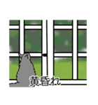 猫あるある（灰色猫／長毛）（個別スタンプ：40）