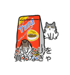 猫あるある（ハチワレ灰色猫／長毛）（個別スタンプ：1）
