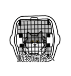 猫あるある（ハチワレ灰色猫／長毛）（個別スタンプ：8）