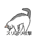 猫あるある（ハチワレ灰色猫／長毛）（個別スタンプ：15）