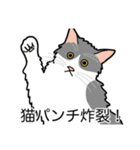 猫あるある（ハチワレ灰色猫／長毛）（個別スタンプ：17）