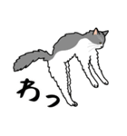 猫あるある（ハチワレ灰色猫／長毛）（個別スタンプ：21）