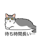 猫あるある（ハチワレ灰色猫／長毛）（個別スタンプ：22）