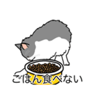 猫あるある（ハチワレ灰色猫／長毛）（個別スタンプ：32）
