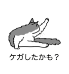 猫あるある（ハチワレ灰色猫／長毛）（個別スタンプ：34）