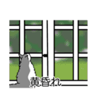 猫あるある（ハチワレ灰色猫／長毛）（個別スタンプ：40）