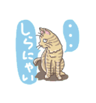 ユニークMIXコミュニケーションスタンプ（個別スタンプ：9）