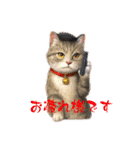 いちご王国の猫ベルタンの敬語スタンプ（個別スタンプ：3）