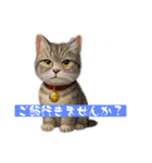 いちご王国の猫ベルタンの敬語スタンプ（個別スタンプ：12）