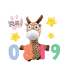 チワワのレイくんスタンプ2（個別スタンプ：20）
