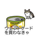 猫あるある（白キジ猫／長毛）（個別スタンプ：2）
