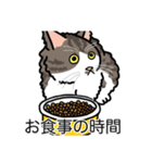 猫あるある（白キジ猫／長毛）（個別スタンプ：3）