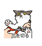 猫あるある（白キジ猫／長毛）（個別スタンプ：11）
