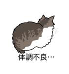 猫あるある（白キジ猫／長毛）（個別スタンプ：31）