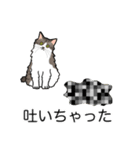 猫あるある（白キジ猫／長毛）（個別スタンプ：33）