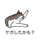 猫あるある（白キジ猫／長毛）（個別スタンプ：34）