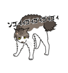 猫あるある（白キジ猫／長毛）（個別スタンプ：37）