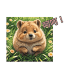 愛らしいクオッカ3（簡体字）（個別スタンプ：23）