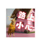 柴犬的丸【好用的话】（個別スタンプ：14）