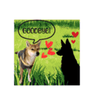 柴犬的丸【好用的话】（個別スタンプ：21）