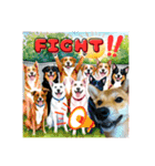 柴犬的丸【好用的话】（個別スタンプ：37）