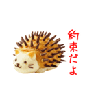 にゃん類、兄弟で一言Part1（個別スタンプ：5）