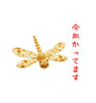 にゃん類、兄弟で一言Part1（個別スタンプ：6）