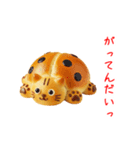 にゃん類、兄弟で一言Part1（個別スタンプ：10）