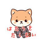 キュートな柴犬ベビーの生活Ver5(にほんご)（個別スタンプ：1）